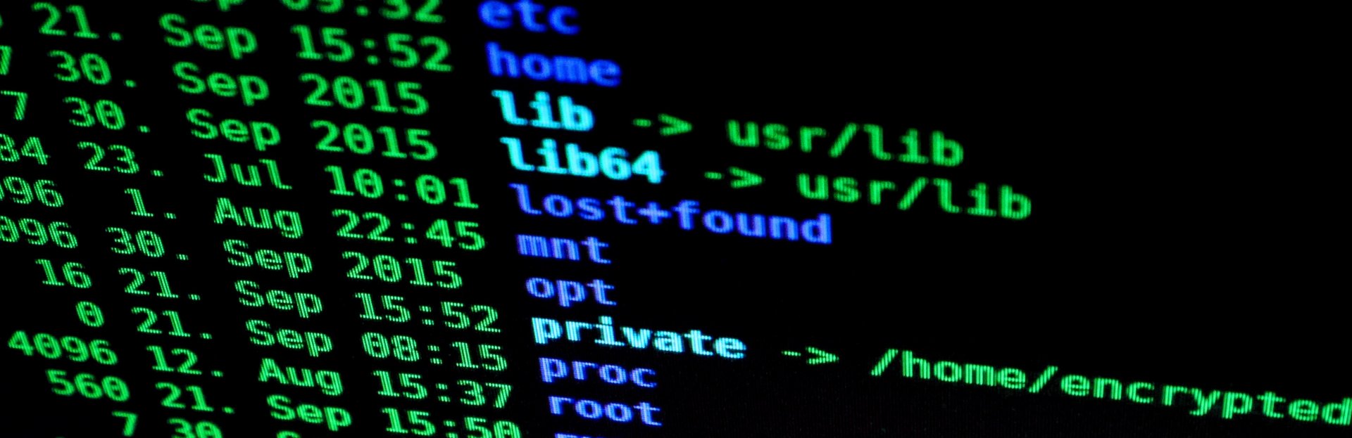 Cómo protegerse de un ransomware: CSIRT entrega recomendaciones